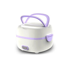 Electric Lunch Box Portable Food Warmer Food Heating Lunch Box  for Car, Truck, office