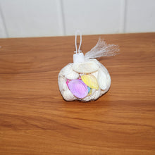 Decorative Seashells Set  (1 Set)